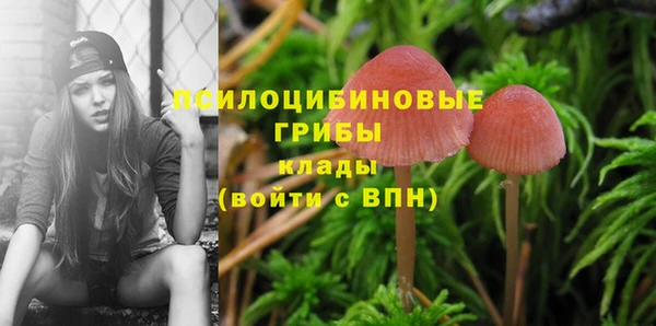 Альфа ПВП Балахна